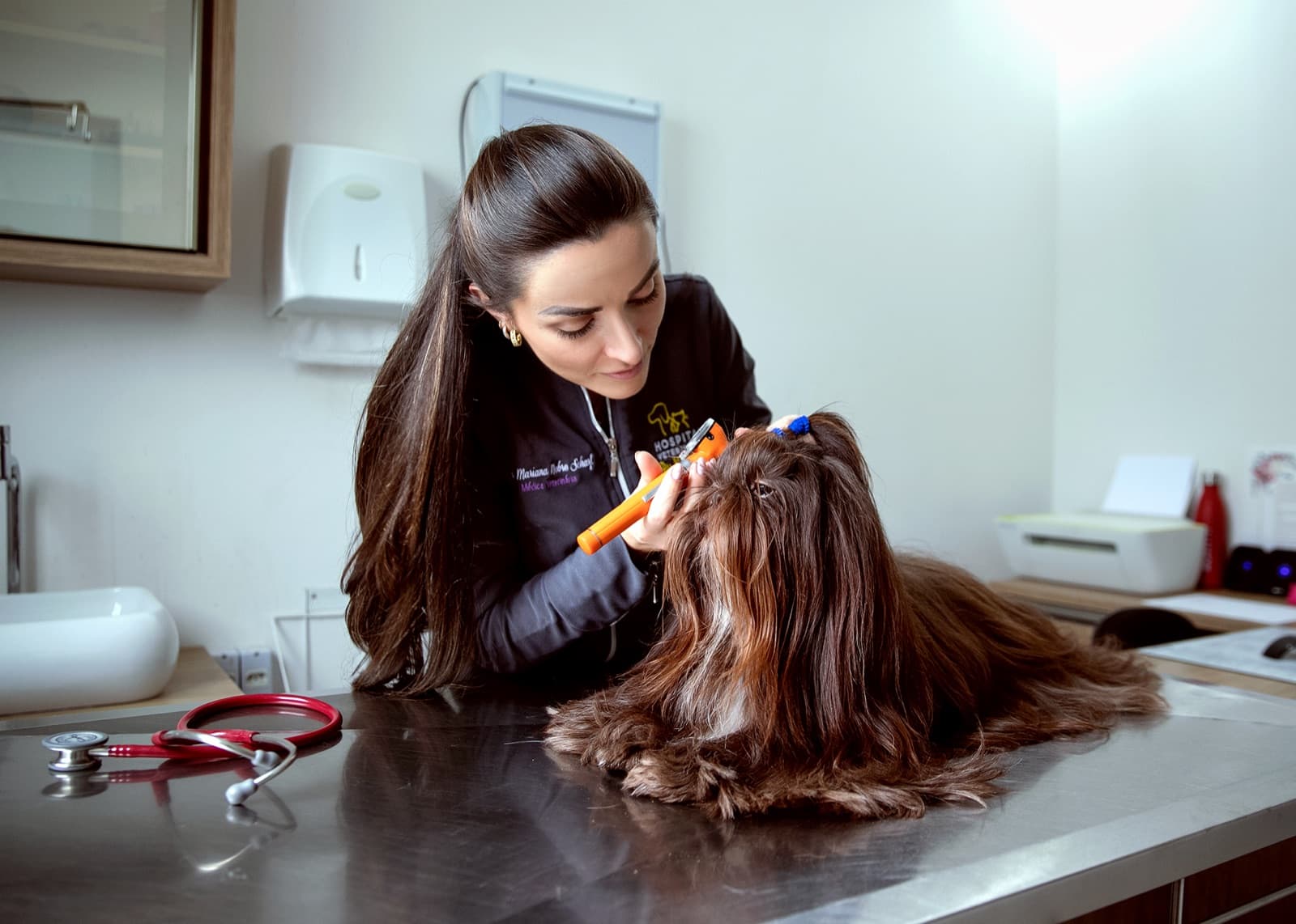Veterinária examinando o ouvido de um cão sobre a maca